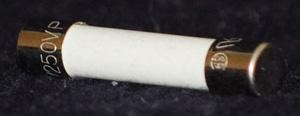 Whirlpool W10138793 Microwave Ceramic Fuse, 20 Amps